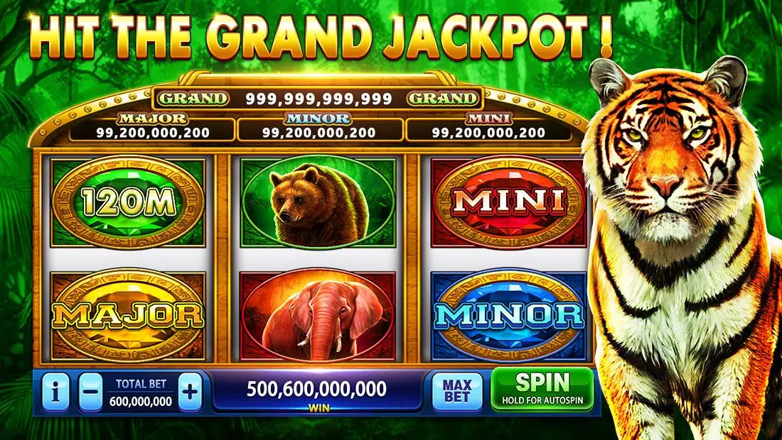 Pirate Fortune Slots Casino Capture d'écran 3