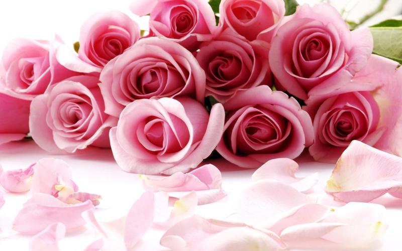 Roses Jigsaw Puzzles ภาพหน้าจอ 2