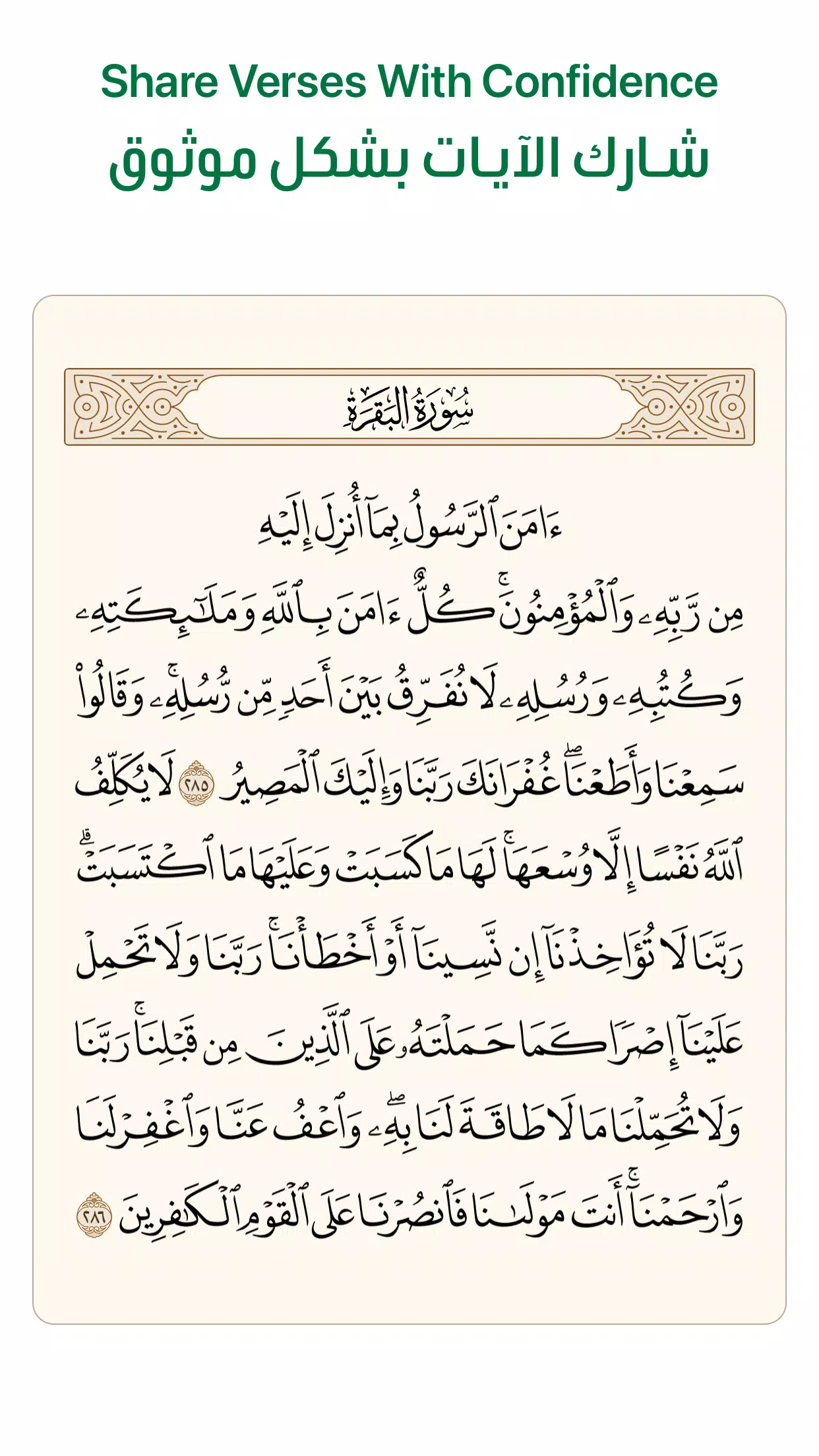 آية - تطبيق القرآن الكريم Screenshot 3