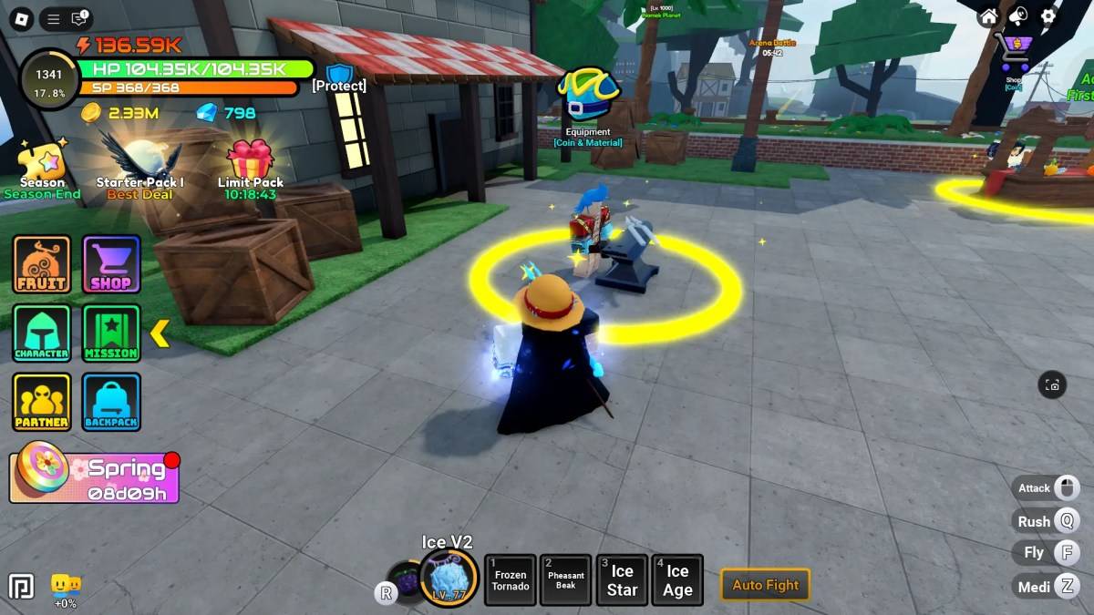 展示設備NPC在動漫水果中的位置的玩家