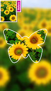 Schermata DSLR Blur Background, Bokeh bg 3