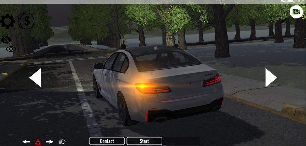 Driving Simulator BMW应用截图第2张
