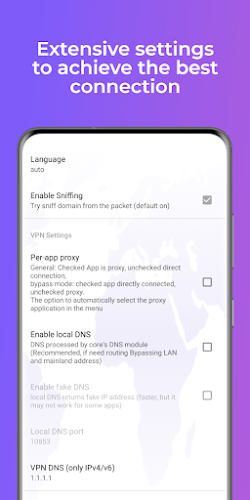Lena VPN - Fast & Secure VPN ဖန်သားပြင်ဓာတ်ပုံ 2