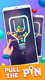 Pull Pin Puzzle Game Screenshot 1