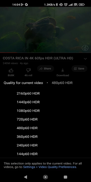 YouTube ReVanced Extended スクリーンショット 1