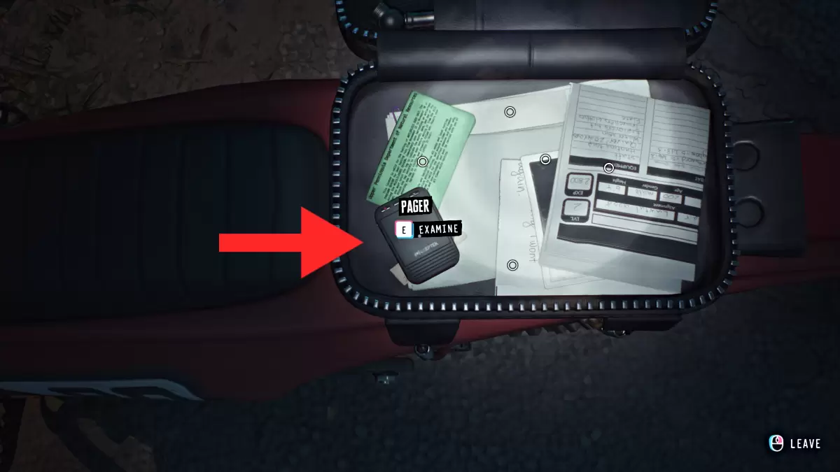 Pager's Pager in Lost Records Bloom and Rage