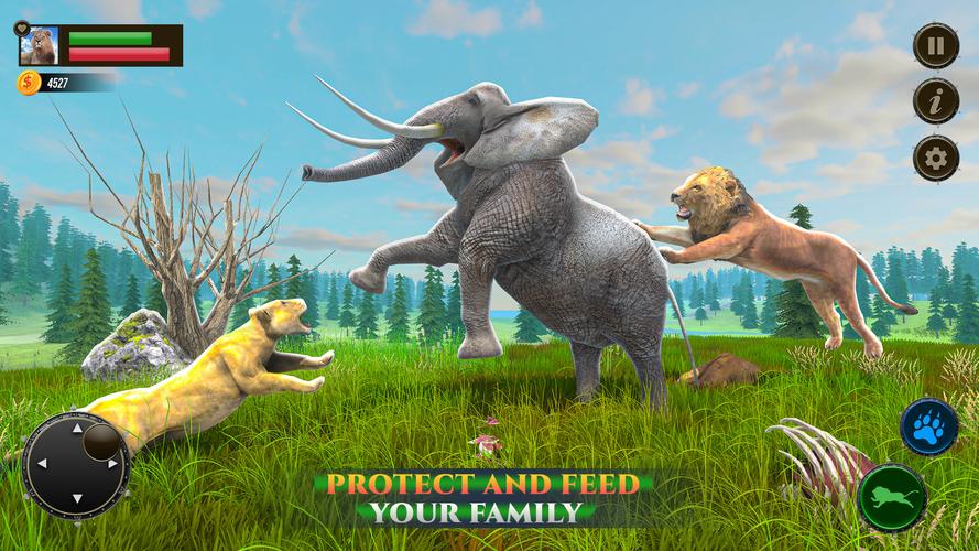 Jungle Kings Kingdom Lion應用截圖第1張