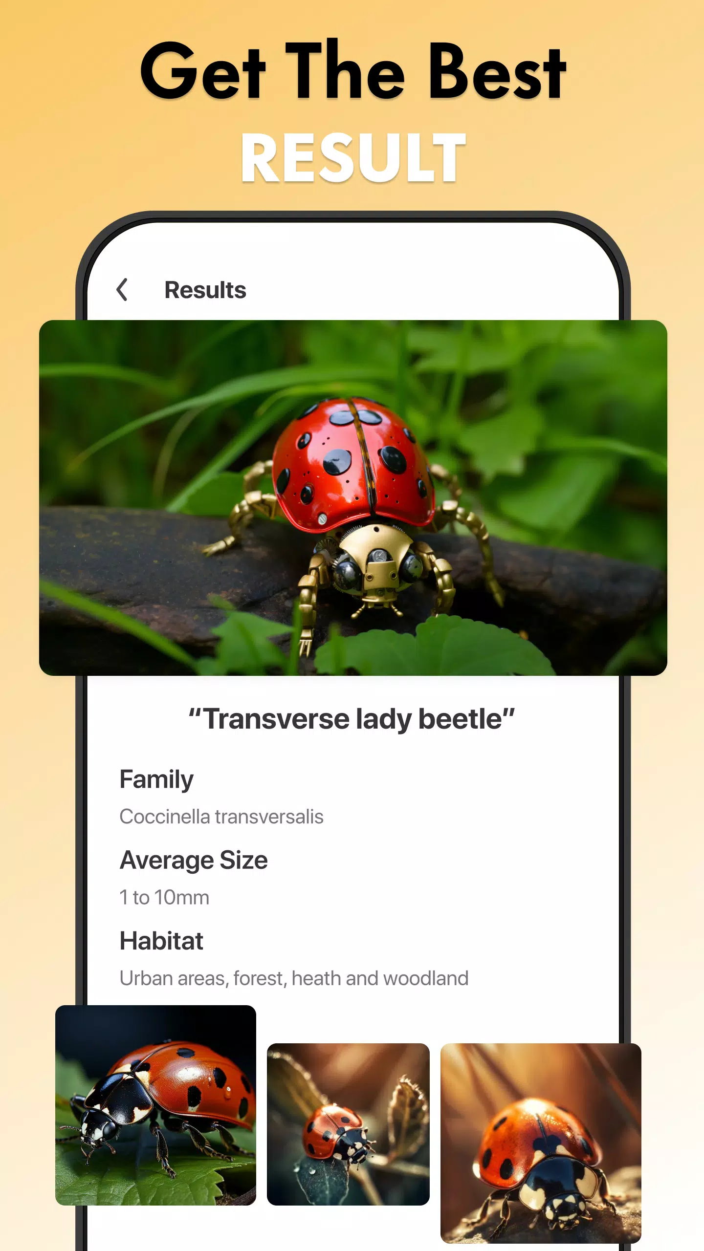 Insect Identifier Bug Identify应用截图第2张