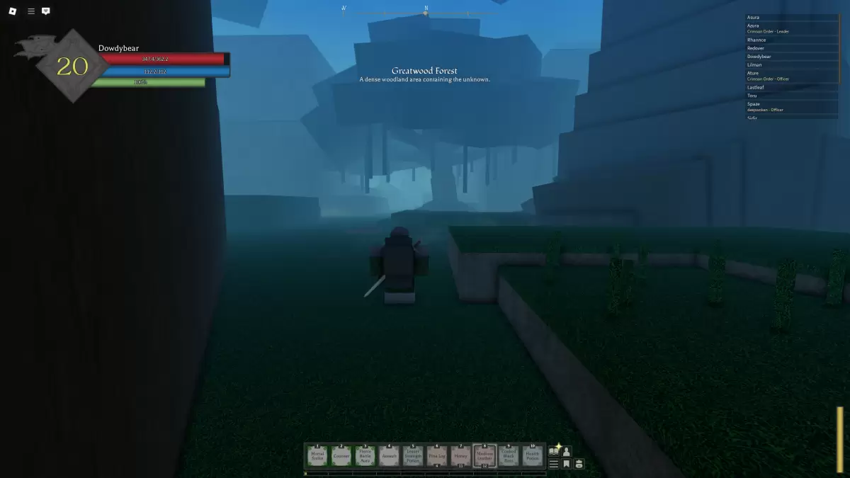 Journey through Greatwood Forest