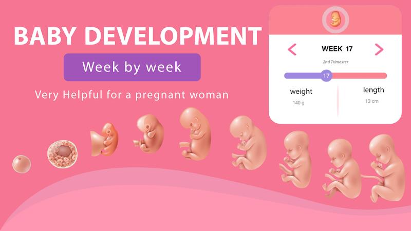 Pregnancy Weeks Tracker應用截圖第1張
