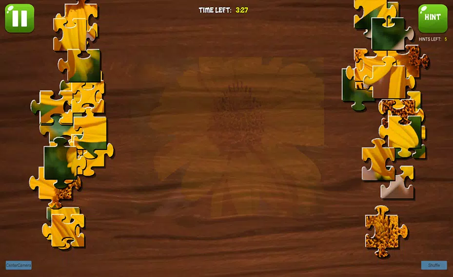 Complete the Canvas Puzzle应用截图第2张