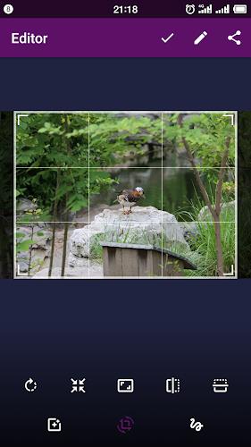 Smart Gallery - Photo Manager應用截圖第3張