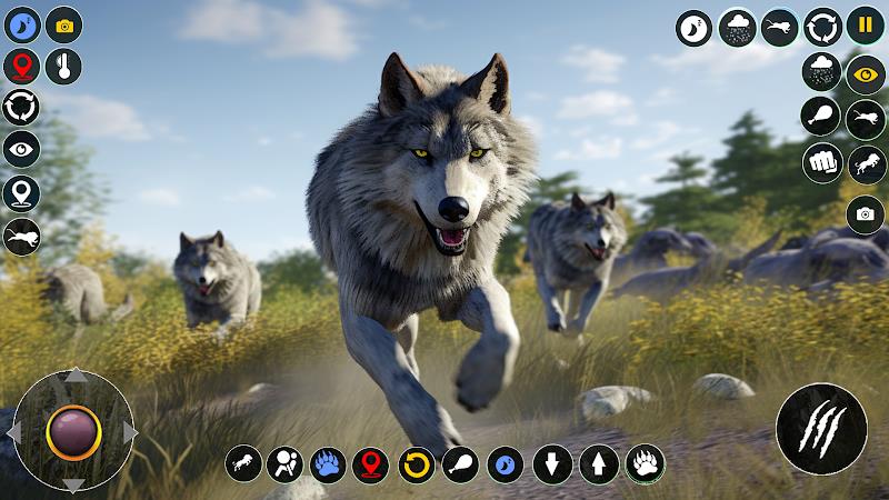 Wolf Simulator: Wild Wolf Game應用截圖第2張