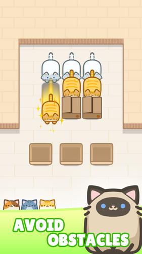 Box Cat Jam : Block Match应用截图第2张