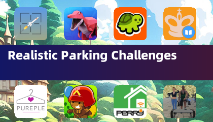 真实停车挑战